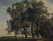Ferdinand Georg Waldmuller Prater Landscape painting